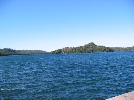 Lake and boreal forest scenery
