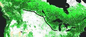 Satellite image showing the prairie-forest border